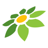 TOKOPEDIA HARI INI